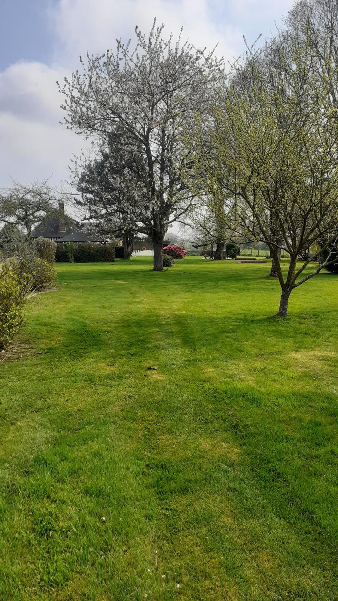 Bed and Breakfast Pressoir Les Campenottes Beuzeville Esterno foto